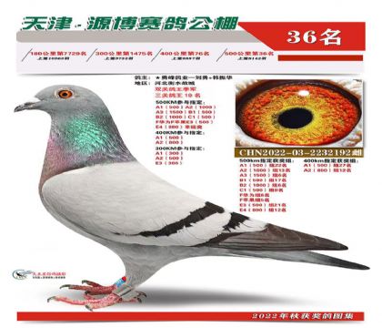 �������36��