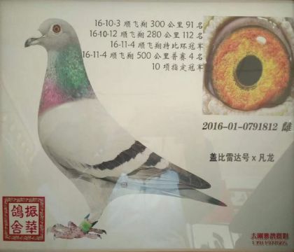 �����ִƣ��Ǳ��״��X����812