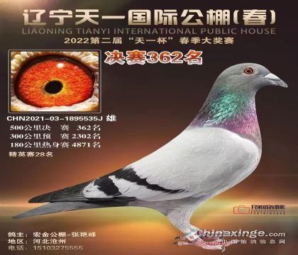 �������362��