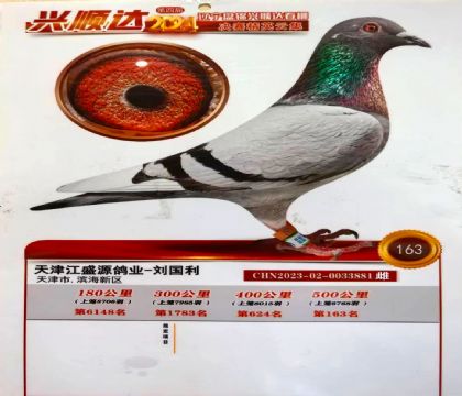 �������163��