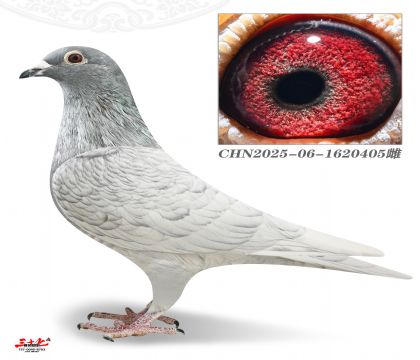 ����5000-405