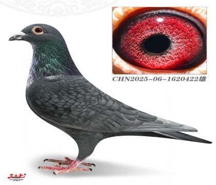 ����5000-422