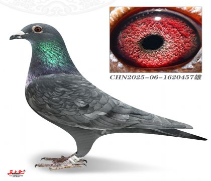 ����5000-457