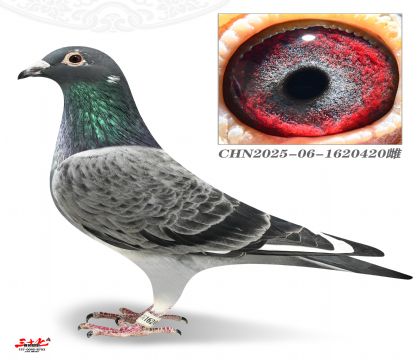 Ľ���ž�У��420