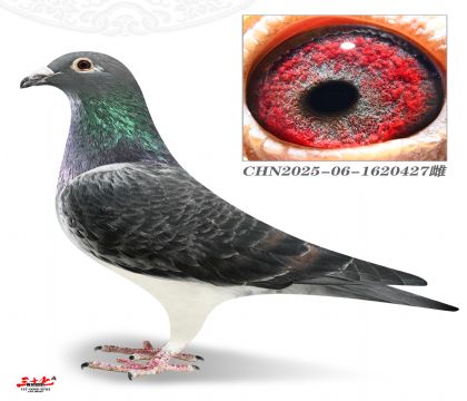 Ľ���ž�У��427