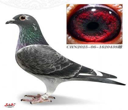 Ľ���ž�У��438