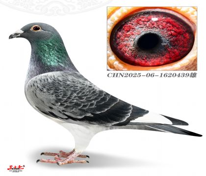 Ľ���ž�У��439