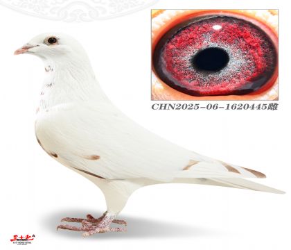 Ľ���ž�У��445