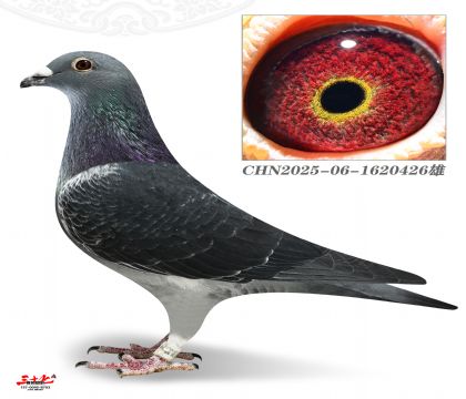 ��ڶ���624