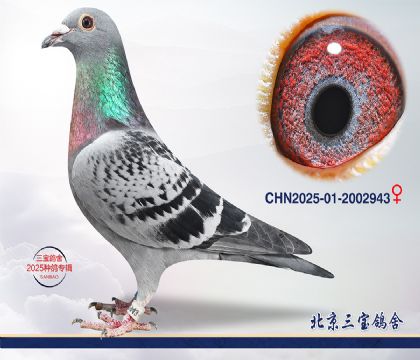 1.����x����Ѫϵ.2002943