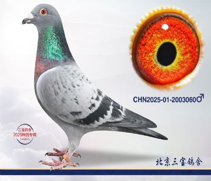 4.������x����2003060