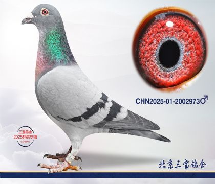 6.����x��ʱ��.2002973