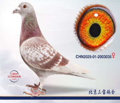 15.����396��Ѫq.2003035