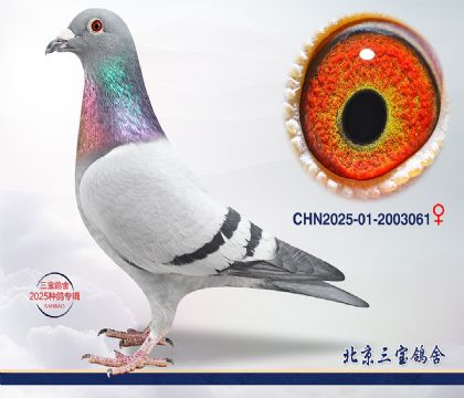 2.������x����.2003061