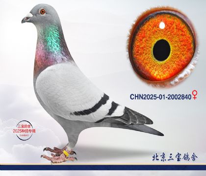 5.�ٰ�����Ѫ.2002840