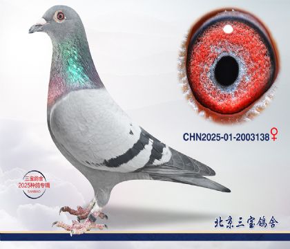 3.����x����.2003138