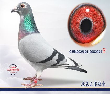 4.����x��ʱ��.2002974