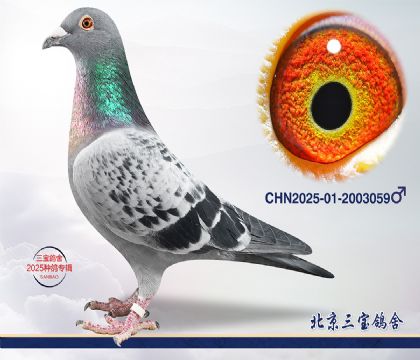 8.����x����Ѫϵ.2003059