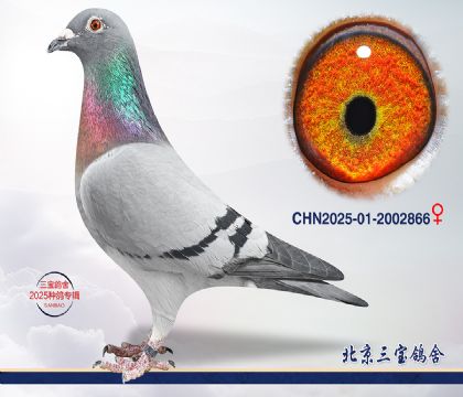 10.����x��ȱ��x����.2002866