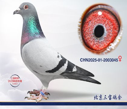 14.����396��Ѫq.2003045