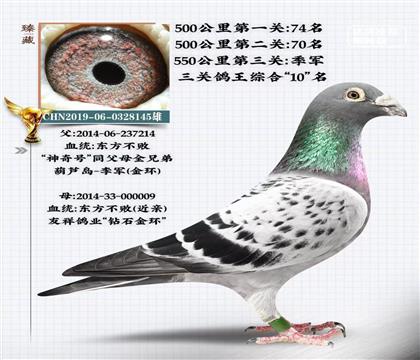 父.东方不败季军