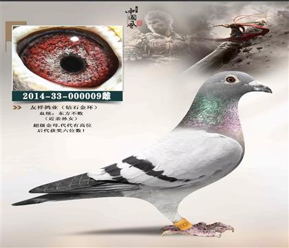 母.友祥钻石金环