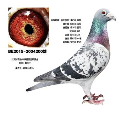 父.桑杰士超级36直孙