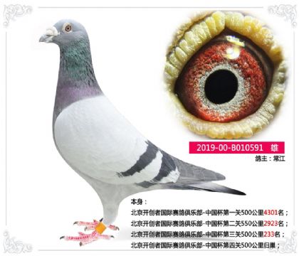 ���������߹���������ֲ�-�й���������500����233��