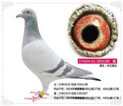 ������ҵ--289   ��	