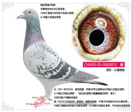 ���˸���---·������X����  015   ��