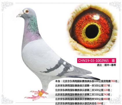 ���������������������ֲ��Ĺ��ۺ�394��   ��	