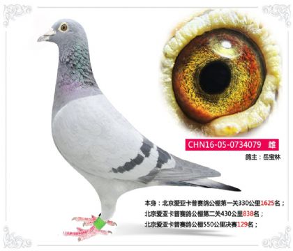 �������ǿ������빫��550�������129��   ��	