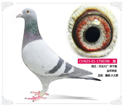 �ӱ���-���ظ�    ���ָ�ղɭ.С���396   ��	