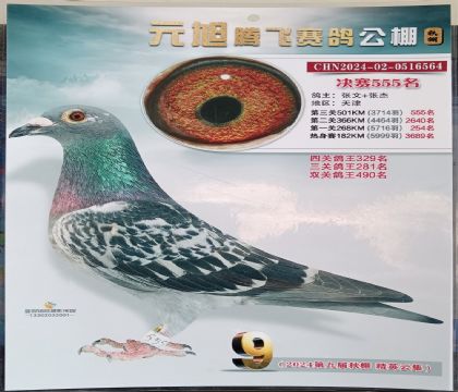 ���Ԫ���ڷ����빫��501�������555��  ��	