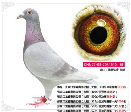 �żҿ��������빫����518�����վ���ڶ���112��