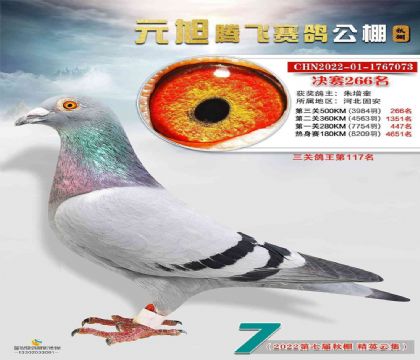 ���Ԫ���ڷ����빫��500�������266��  ��	