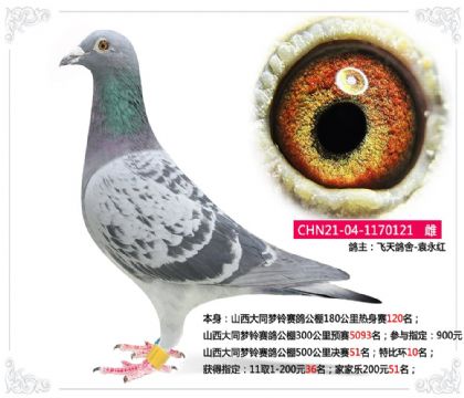 ɽ����ͬ�������빫��500�������51��   ��	