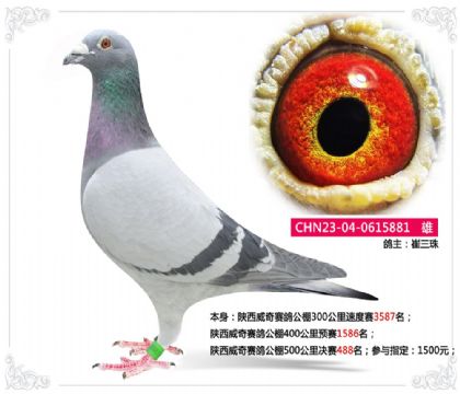 �����������빫��500�������488��   ��	