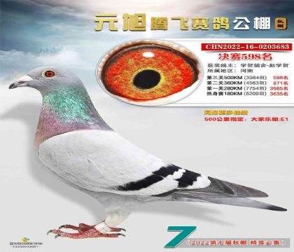 ���Ԫ���ڷ����빫��500�������598��  ��	