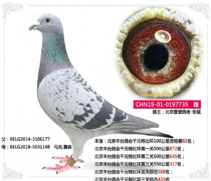 ����Ҽ̖����-������̨���ǧԪ�رȻ������ۺ�433��  ��	