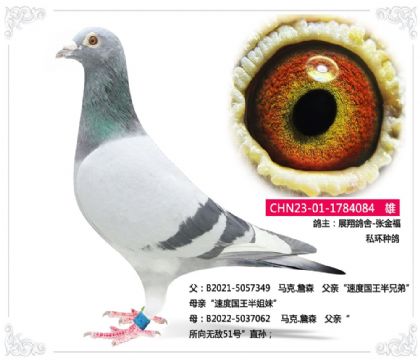 չ�����-�Ž�     ˽���ָ�	����.ղɭ084   ��