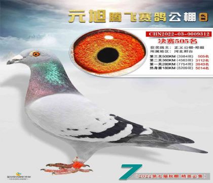 ���幫��-֣��-���Ԫ���ڷ����빫��500�������505��