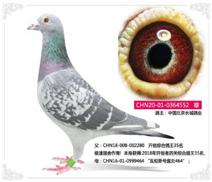 �й��������Ǹ�ҵ---�����ۺϸ���35��ֱ��552   ��	