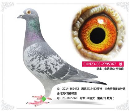 ��ĸ�ҵ-������-------ղɭ/��.����367   ��