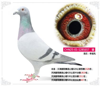 ����������빫��520�����վ��437��   ��