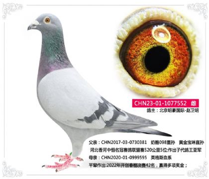 ������������-������---����XӢ��˹552   ��	