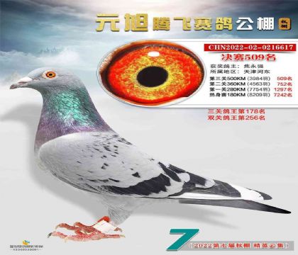 ���Ԫ���ڷ����빫��500�������509��   ��