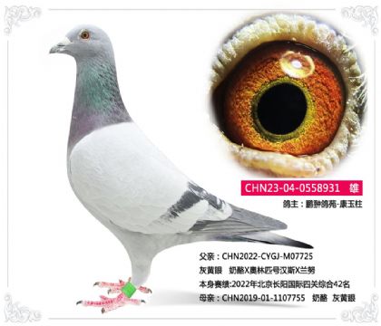 ������Է-������----����931   ��	