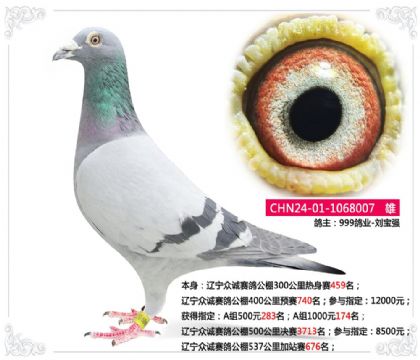 �����ڳ����빫��537�����վ��676��  ��	