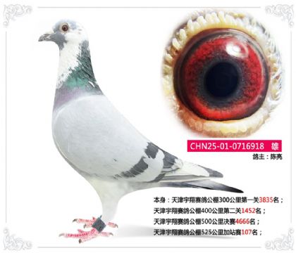 ����������빫��525�����վ��107��   ��